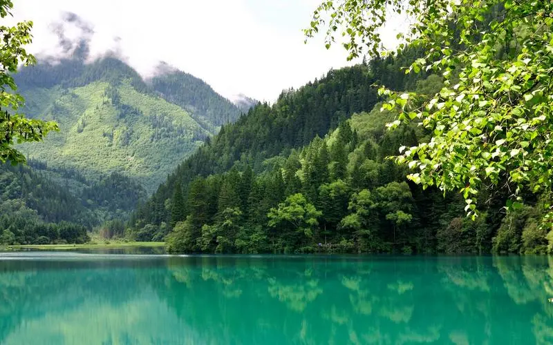 高精度智能化无人化
